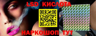 гидропоника Сланцы