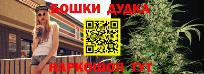 гидра Славгород