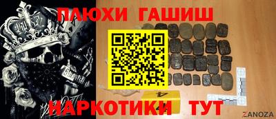 гидропоника Сланцы