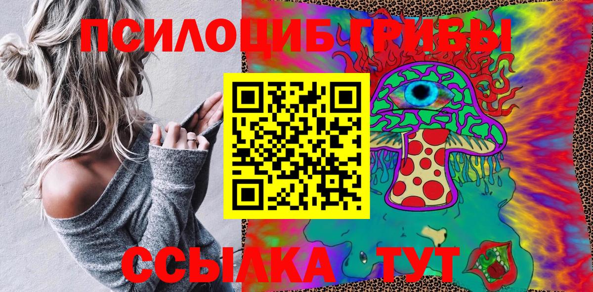 Псилоцибиновые грибы GOLDEN TEACHER Можга