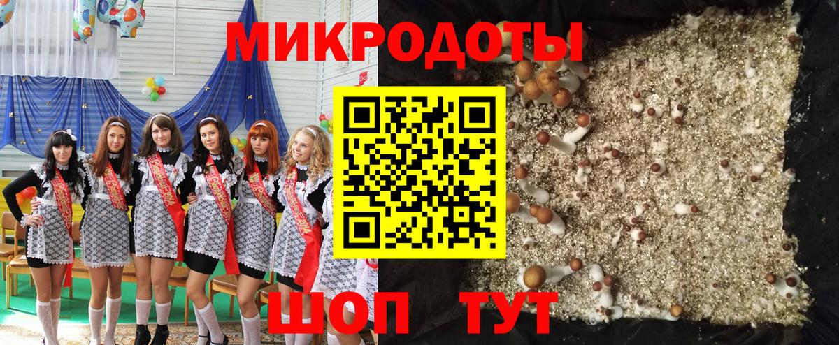 Псилоцибиновые грибы Psilocybe  Вход с VPN  Можга  Галлюциногенные грибы Cubensis 
